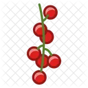 Currants Fruit Fit Icon