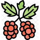 Currants Berry  Icon