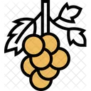 Currants Berry  Icon