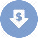Currency Value Dollar Icon