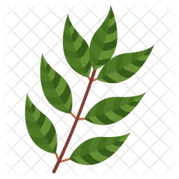 Curry Leaves  Icon