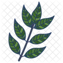 Curry Leaves  Icon