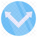 Curved Double Arrow  Icon
