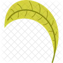 Curved Pointy Leaf  Icon