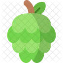 Custard Apple Vegetarian Fruit Icon