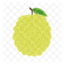 Custard Apple Sitaphal Sugar Apple Icon