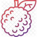 Custard apple  Icon