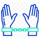 Custody  Icon