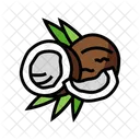 Cut Coconut Half Coconut Cut Symbol