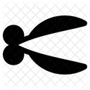 Cut Scissors Scissor Icon