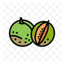 Cut Melon Icon