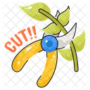 Fly Hill Tropical Icon