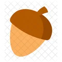 Cute Accorn  Icon