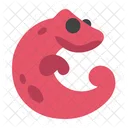 Alphabet Animal Animal Alphabet Icon