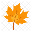 Maple Leaf Autumn Fall Icon