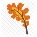 Oak Leaf Autumn Fall Icon