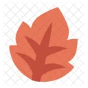 Cute Autumn Tree Leaf  Icon