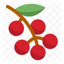Cute Berry  Icon
