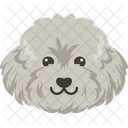 犬、ビションフリーゼ、かわいい アイコン