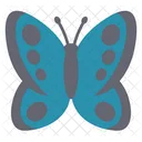 Cute Blue Butterfly  Front  Icon