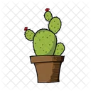 Cute Cactus  Icon