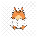 Cute cat in eggshell  Icon