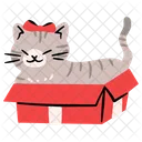 Cute cat in the box  Icon