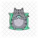 Cat Animal Pet 아이콘
