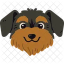 犬、ダックスフント、かわいい アイコン