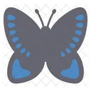 Cute Dark Grey Butterfly  Front  Icon