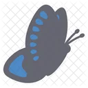 Cute Dark Grey Butterfly  Side  Icon
