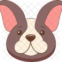Dog Pet Animal Icon