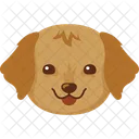 犬、ゴールデンレトリバー、かわいい アイコン