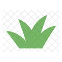 Cute Grass  Icon