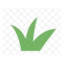 Cute Grass  Icon