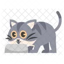 Cute Grey Cat Eating  Icon