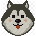 犬、ハスキー、かわいい アイコン