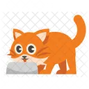 Cute Orange Cat Eating  Icon