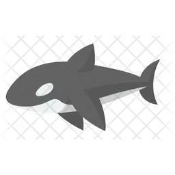 Cute Orca  Icon