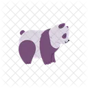 Panda Vector Bear Icon