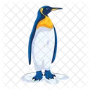 Flightless Bird Cute Penguin Spheniscidae Icon