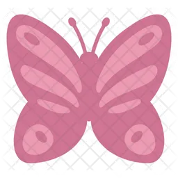 Cute Pink Butterfly  Front  Icon