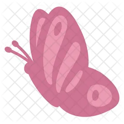 Cute Pink Butterfly  Side  Icon