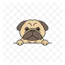 Cute pug dog cartoon  Icon