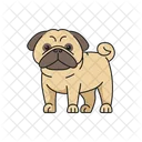 Cute pug dog standing  Icon