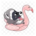 Cute Raccoon  Icon
