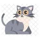 Cute Relax Grey Cat  Icon