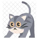 Cute Scared Grey Cat  Icon