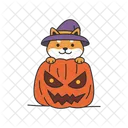 Cute shiba inu in a hat with a pumpkin  Icon