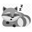Cute Sleep Raccoon  Icon